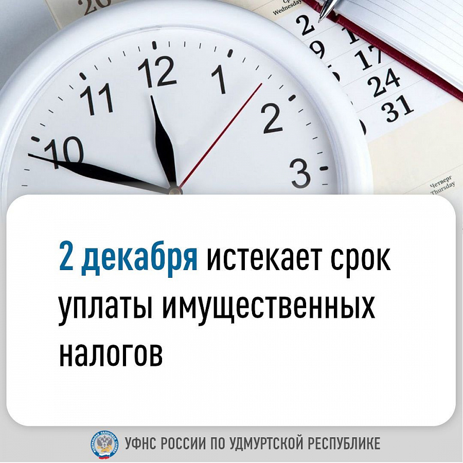 2 декабря истекает срок уплаты имущественных налогов