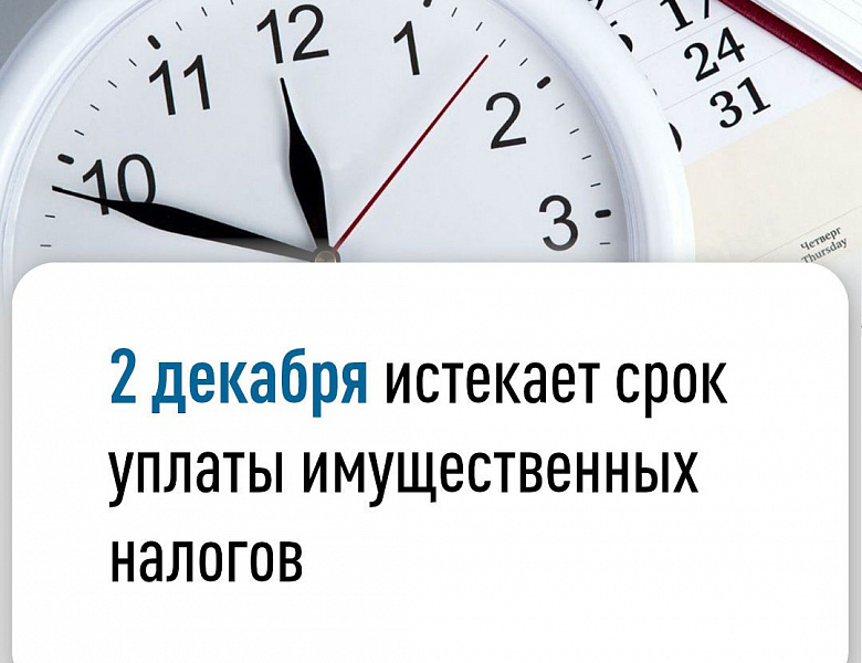 2 декабря истекает срок уплаты имущественных налогов