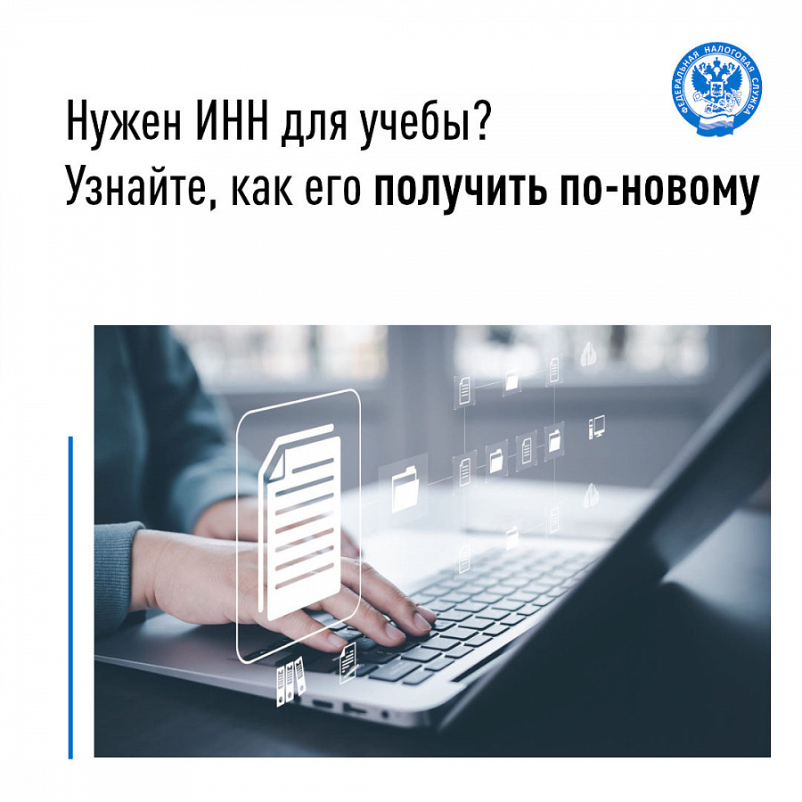 Как получить выписку из ЕГРН ?
