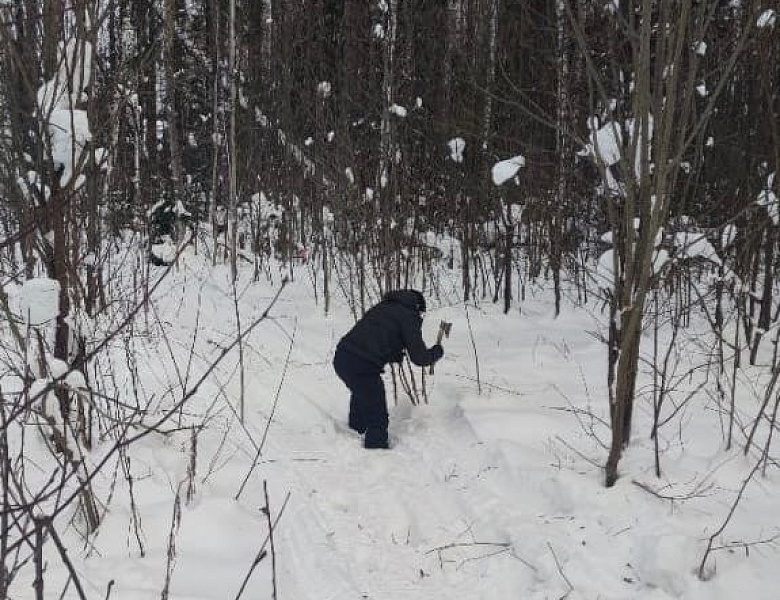 Покататься на лыжах приглашает глава Воткинского района Илья Прозоров