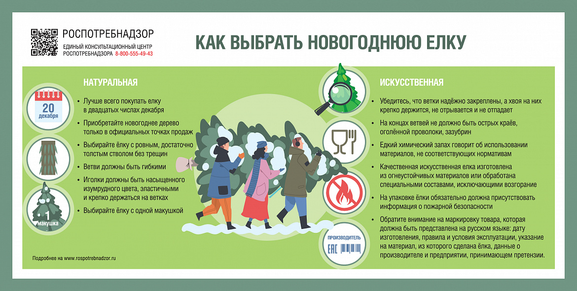 О рекомендациях, как выбрать новогоднюю елку