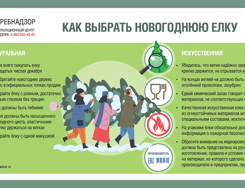 О рекомендациях, как выбрать новогоднюю елку