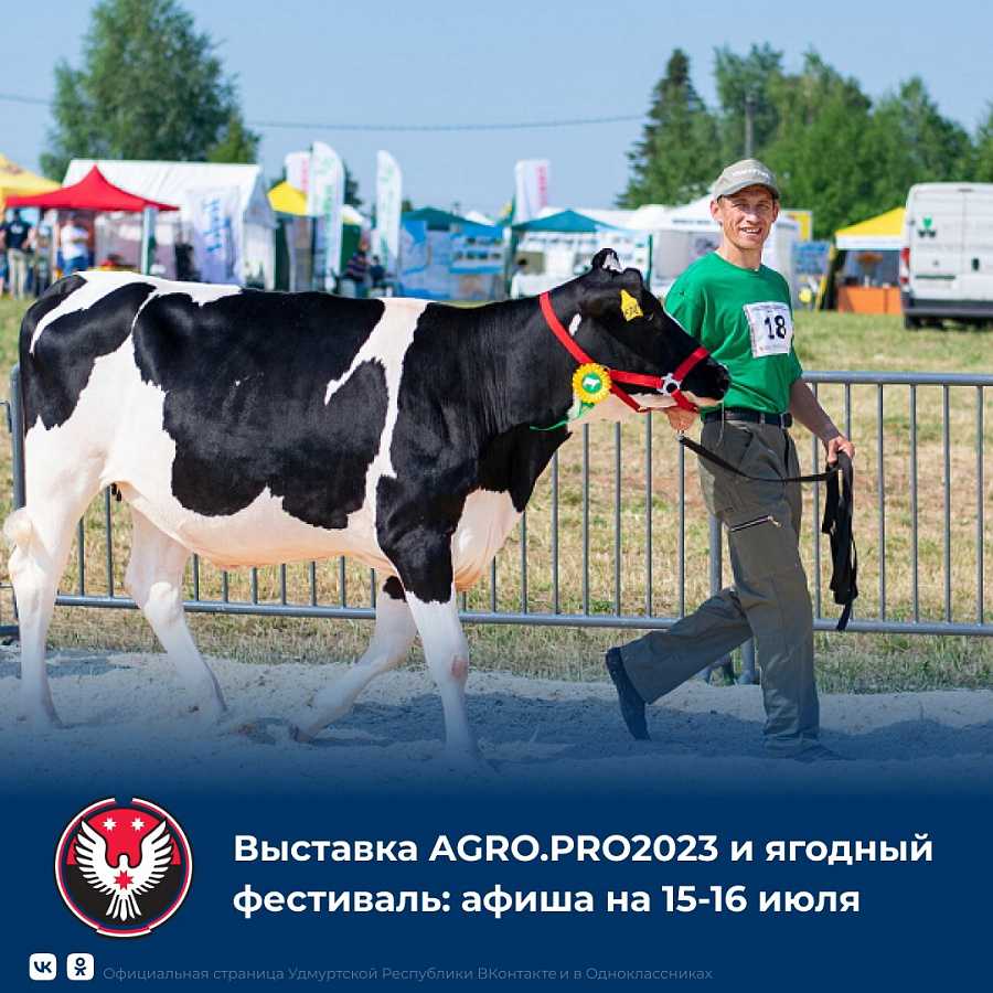 Куда отправимся в эти выходные? (15.07.2023 - 16.07.2023)