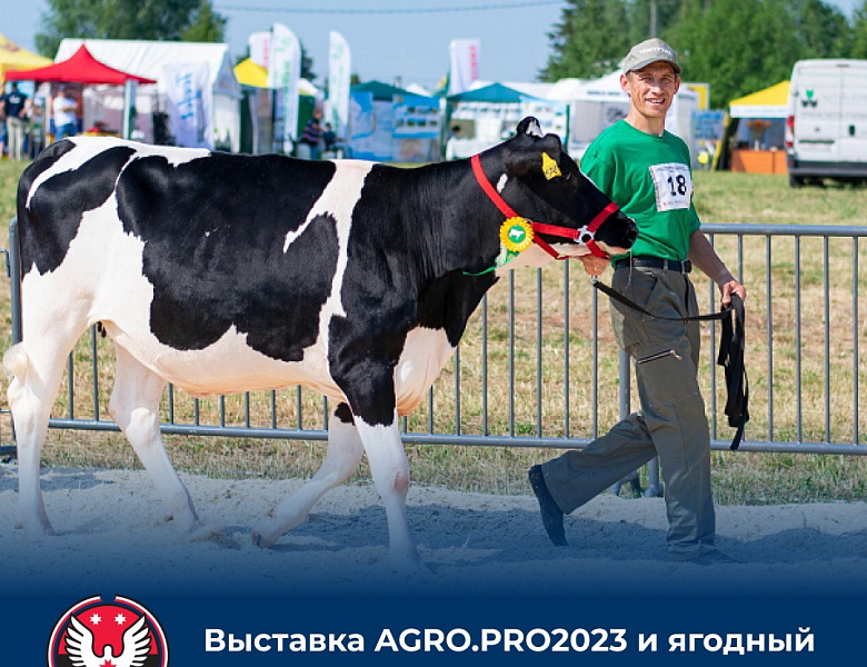 Куда отправимся в эти выходные? (15.07.2023 - 16.07.2023)