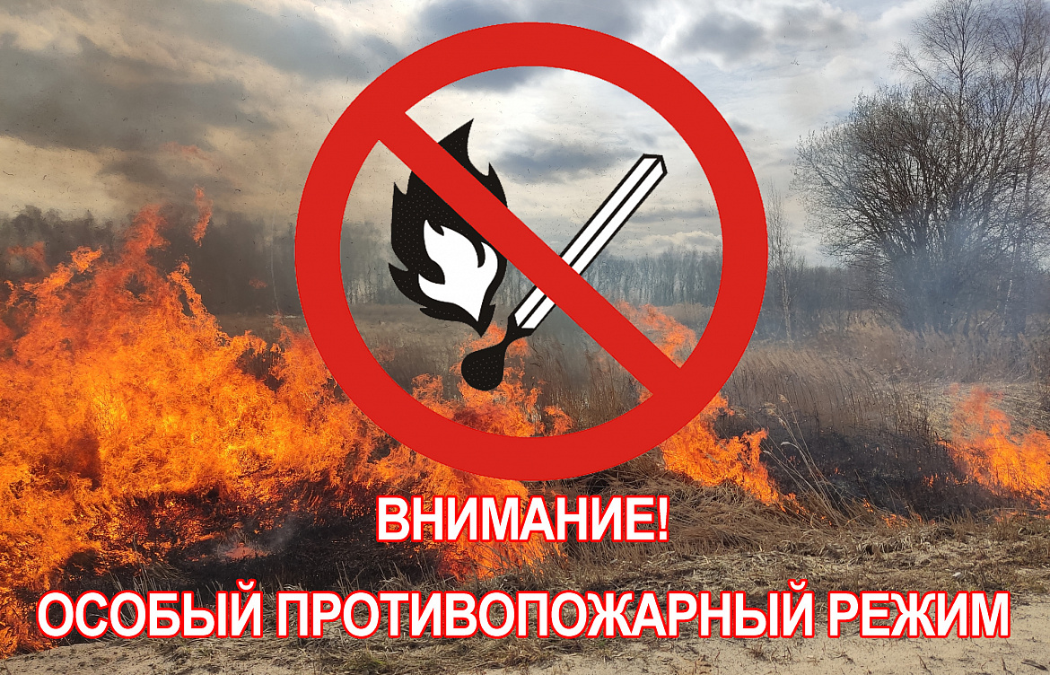 Особый противопожарный режим введут в Удмуртии с 10 апреля 