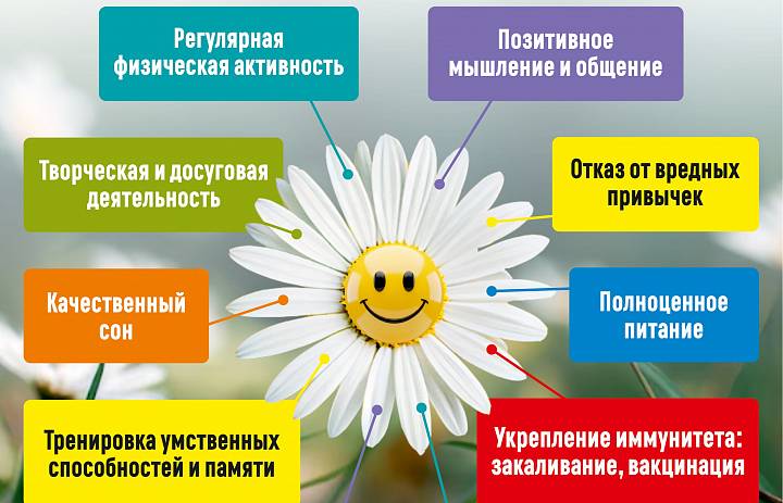 Здоровое долголетие: как прожить долгую и активную жизнь