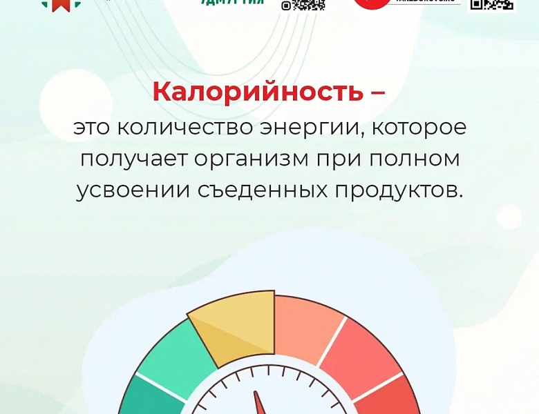 Неделя популяризации подсчета калорий