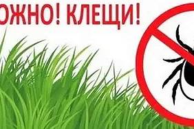 Как обезопасить себя от клещей